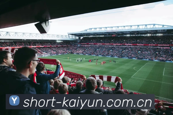 Kaiyun平台生态图